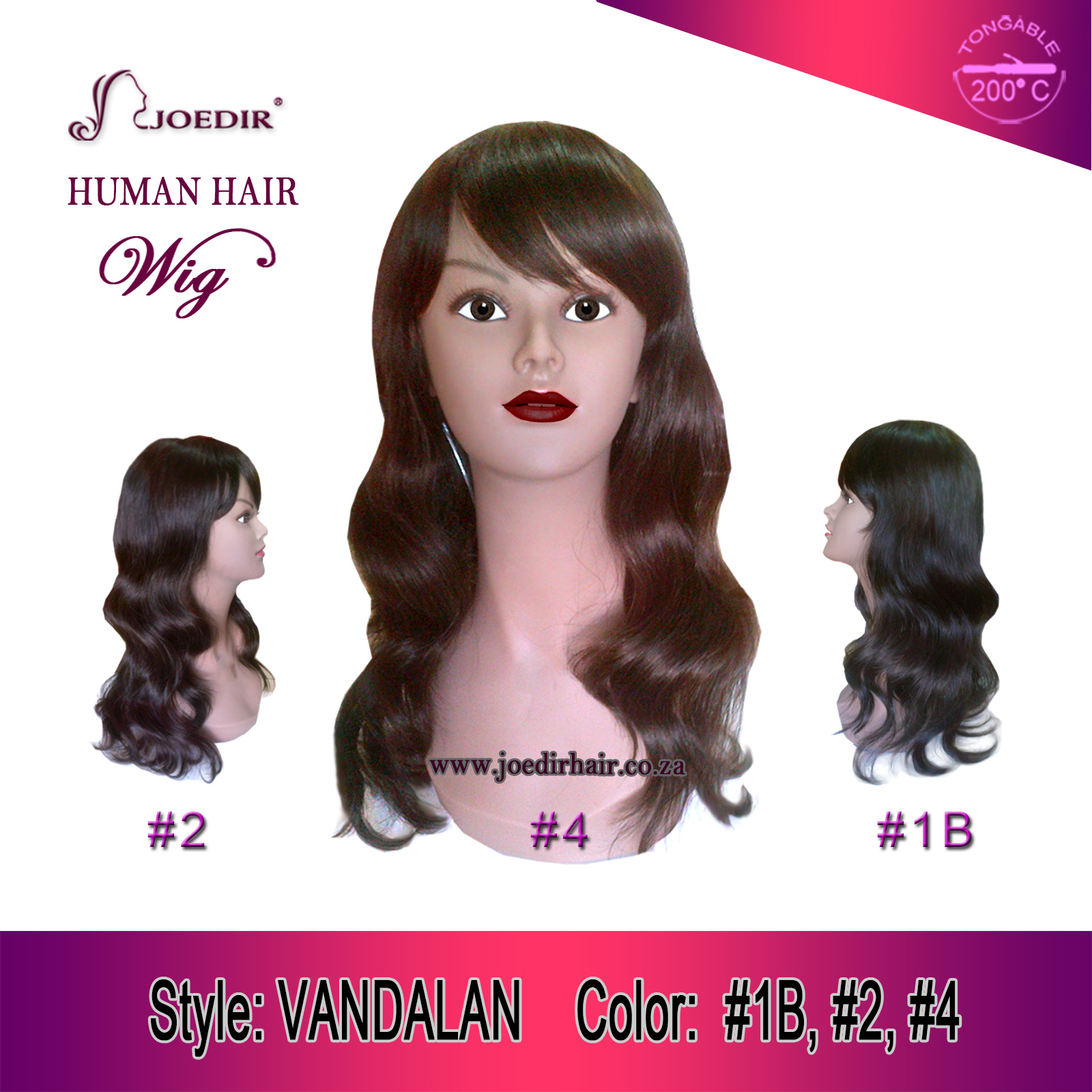 Vandalanwig